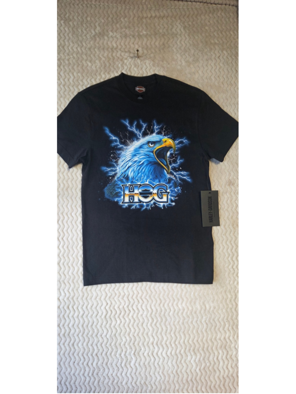 Men's Harley-Davidson HOG Graphic T-Shirt, Black/Blue, Size M